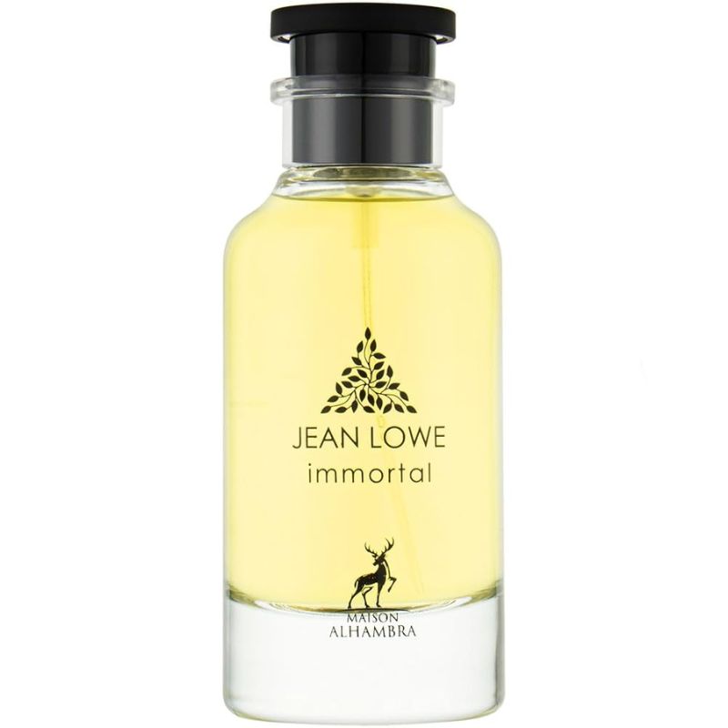Jean Lowe Immortel EDP | Parfum Homme Frais